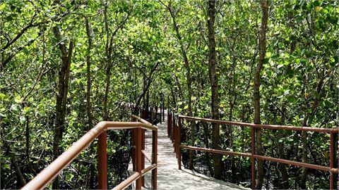 Silonay Mangrove Conservation Eco-Park